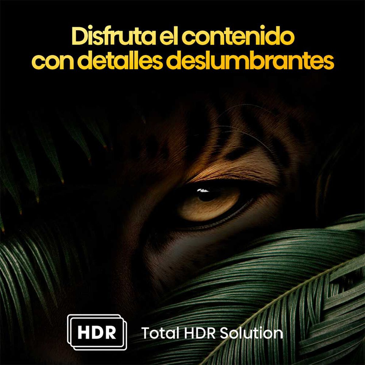 Televisor Hisense QLED 50Q6N | 50&quot; | Google TV | 4K | HDMI | USB | Wi-Fi | Bluetooth