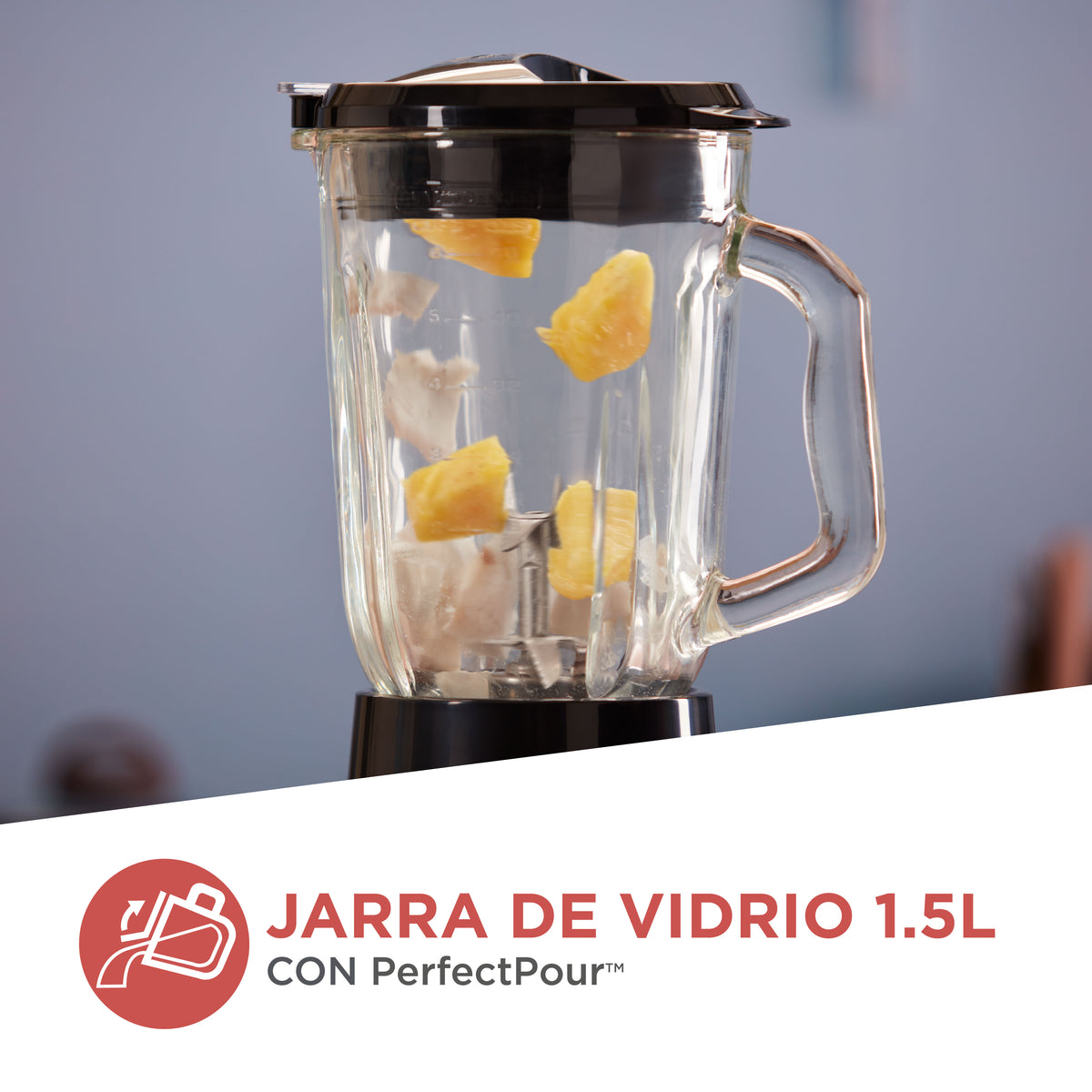 Licuadora Black &amp; Decker Cyclone BL1670S | 2 Velocidades | 1000W