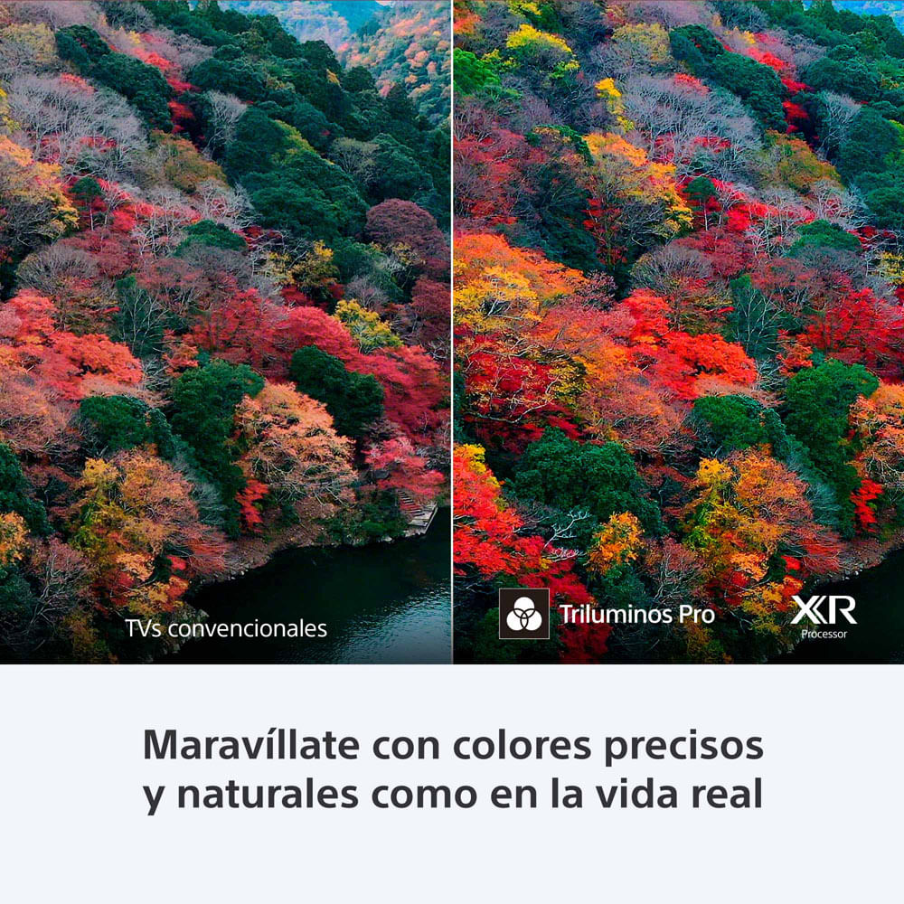 Sony BRAVIA 3 55” 4K Google TV HDMI OLED USB Wi-Fi Bluetooth Televisor Televisores PSN0112043