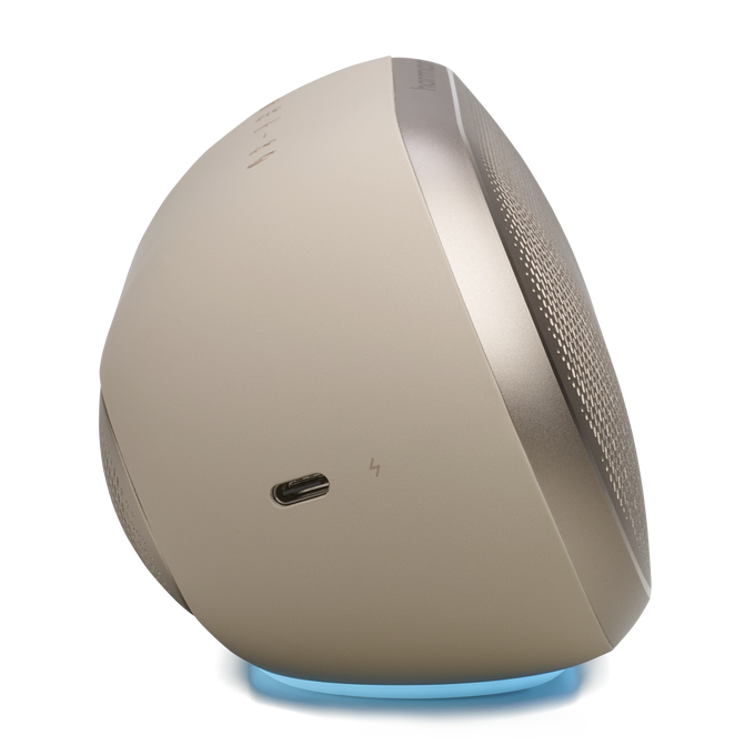 Bocina Inalámbrica Harman Kardon Luna 2 | Bluetooth | IP67