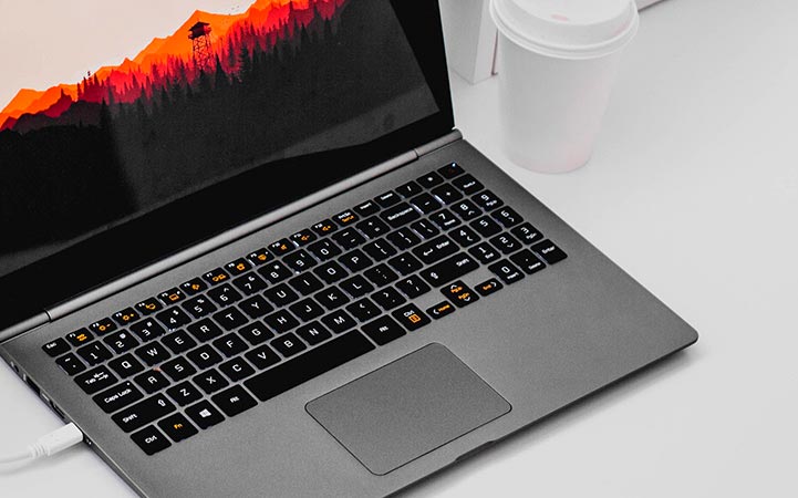 Adaptador XTECH XTC-555 | USB-C a Display Port
