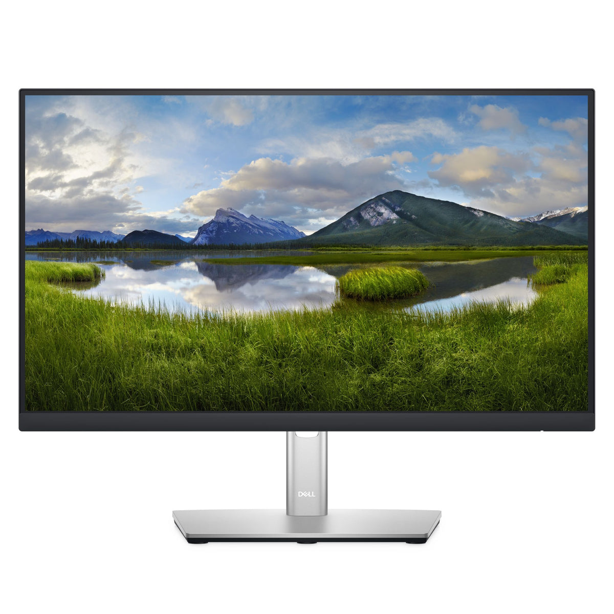 Monitor Full HD de 22&quot; Dell P2222H | HD | 1920x1080 | DisplayPort | VGA - Multimax